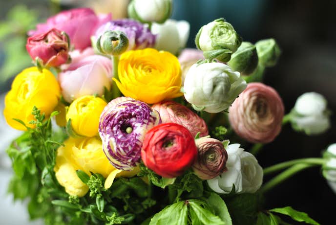 花言葉 ありがとうの気持ちを伝える 21本の花 感謝を示す美しい花とは Smartlog 花言葉 ありがとうの気持ちを伝える 21本の花 感謝を示す美しい花とは Smartlog