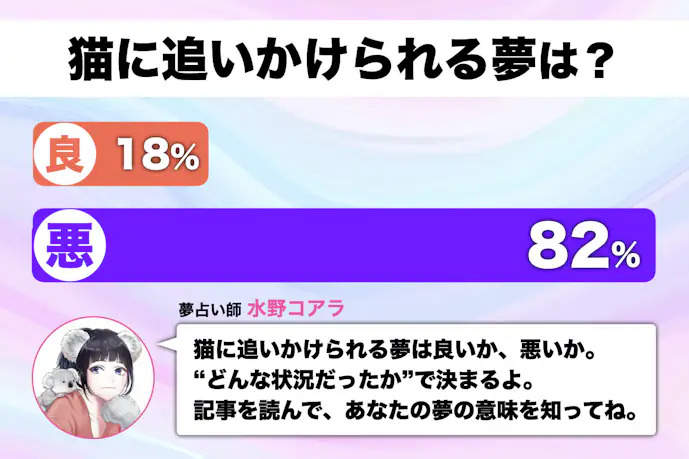 【夢占い】猫に追いかけられる夢の意味。怖いほど当たるスピリチュアル心理診断！