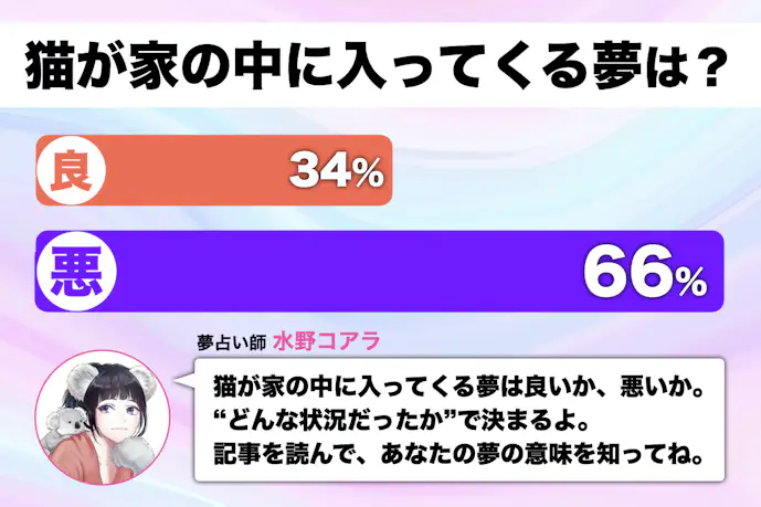 【夢占い】猫が家に入ってくる夢の意味｜状況別にスピリチュアル的な暗示を診断！