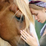 【自己診断】馬顔の13の特徴とは?馬に似て...