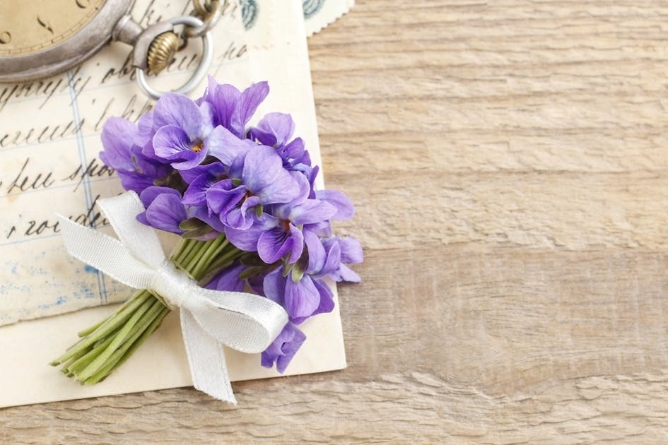 花言葉 一緒にいたい を意味する5本の花 一途な愛を伝える花一覧とは Smartlog 花言葉 一緒にいたい を意味する5本の花 一途な愛を伝える花一覧とは Smartlog