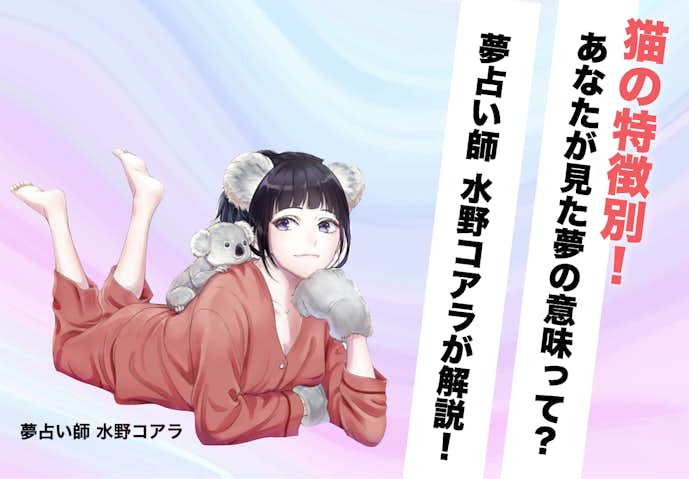 猫の特徴別_猫が喋る夢