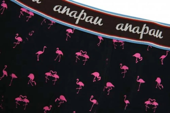 おすすめのボクサーパンツはAnapau(アナパウ)