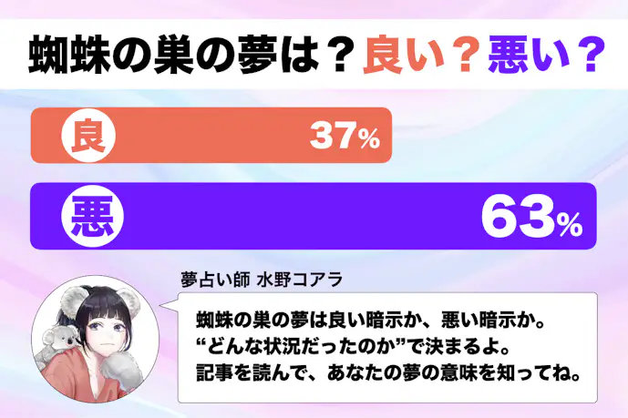 【夢占い】蜘蛛の巣の夢の意味|状況別にスピリチュアル的な暗示を診断!