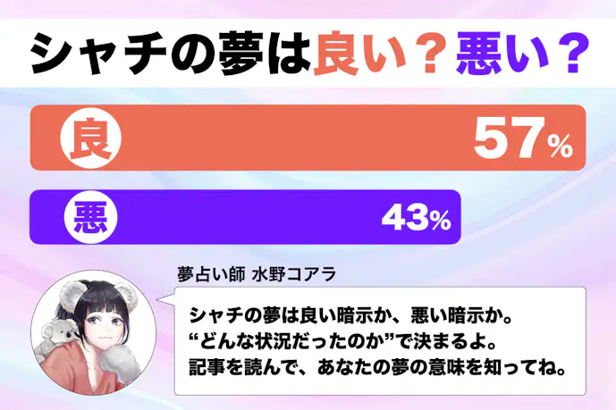 【夢占い】シャチの夢の意味|状況別にスピリチュアル的な暗示を診断!
