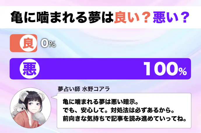 【夢占い】亀に噛まれる夢の意味|状況別にスピリチュアル的な暗示を診断!
