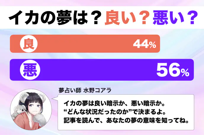 【夢占い】イカの夢の意味|状況別にスピリチュアル的な暗示を診断!