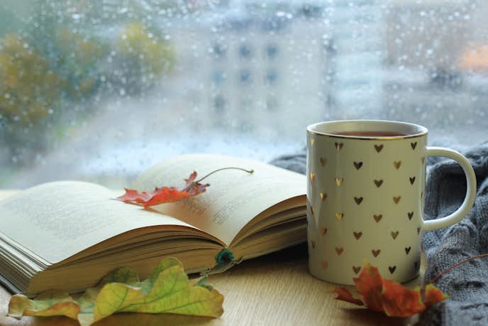 雨の日の過ごし方とは読書