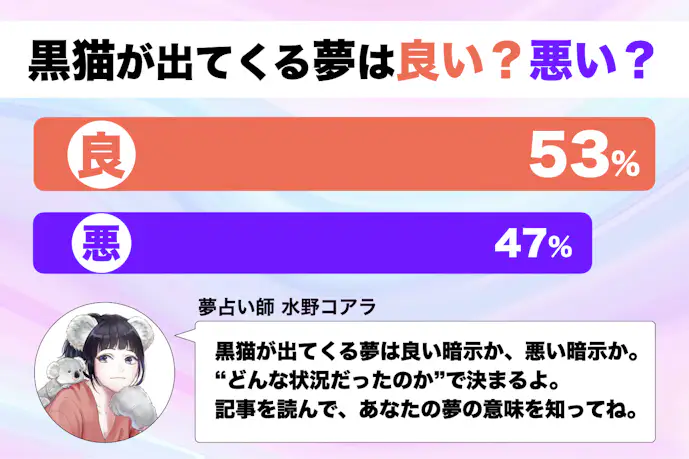 【夢占い】黒猫の夢の意味。よく当たるスピリチュアル心理診断!