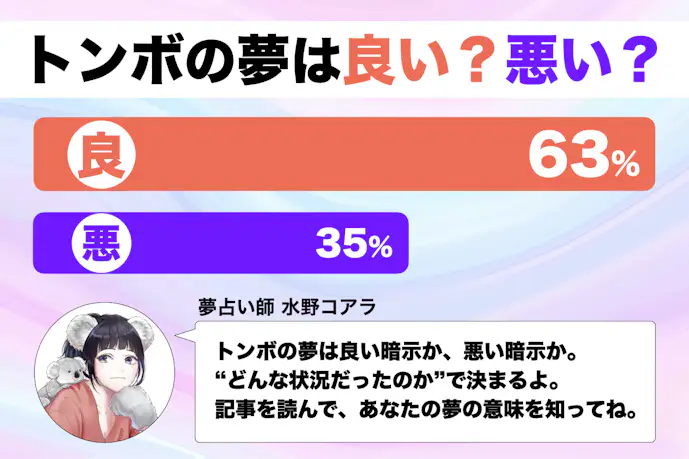 【夢占い】トンボの夢の意味|状況別にスピリチュアル的な暗示を診断!
