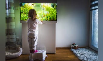 水槽用照明のおすすめ13選|アクア...