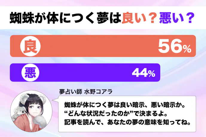 【夢占い】蜘蛛が体につく夢の意味|スピリチュアル的な暗示を診断!