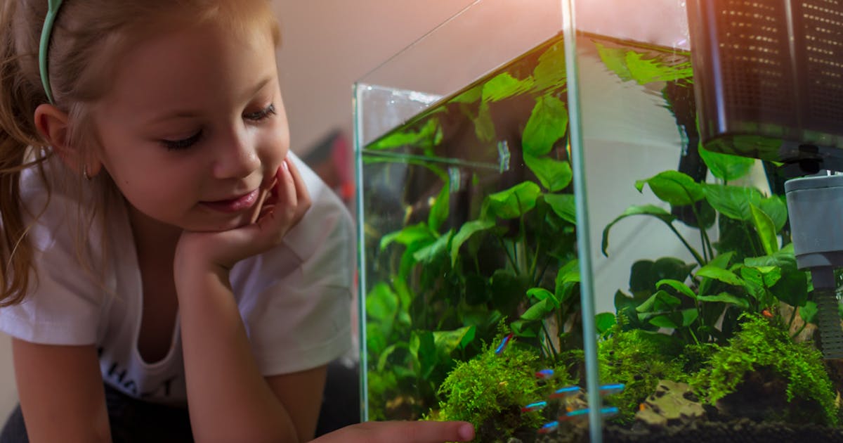 ろ材のおすすめ13選 選び方のポイントも解説 Smartlog ろ材のおすすめ13選 選び方のポイントも解説 Smartlog