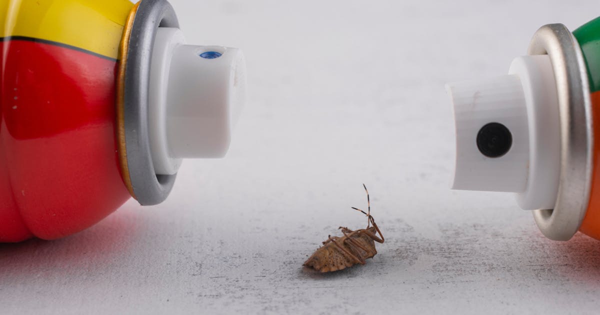 ゴキブリ駆除剤のおすすめ13選 選び方のポイントも解説 セレクト By Smartlog ゴキブリ駆除剤のおすすめ13選 選び方のポイントも解説 セレクト By Smartlog