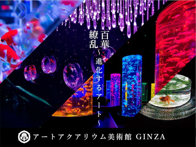 夏デートのおすすめスポットはアートアクアリウム美術館 GINZA