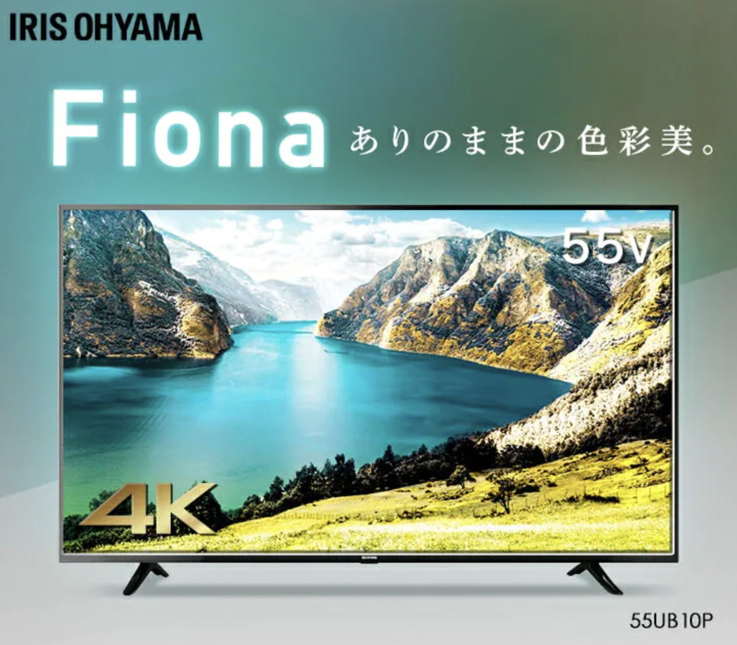 55V型 テレビ TV 4KTV 4K液晶TV 4K対応テレビ pn-gresik.go.id