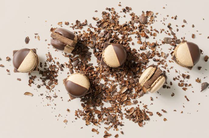 マカロンのおすすめ人気ランキング第一位はMAMEIL NAMA CHOCOLATE MACARON - Chocolate -