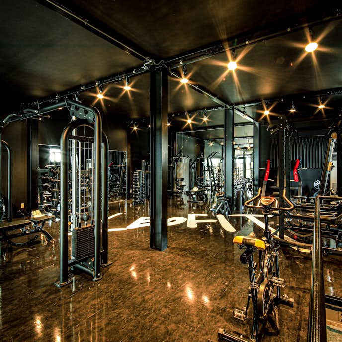LEO_FIT