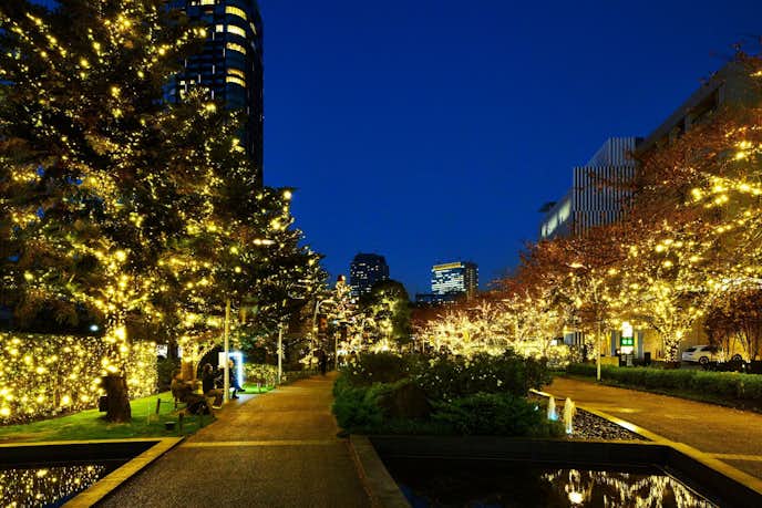 2023年おすすめクリスマスイルミネーションは東京ミッドタウン
