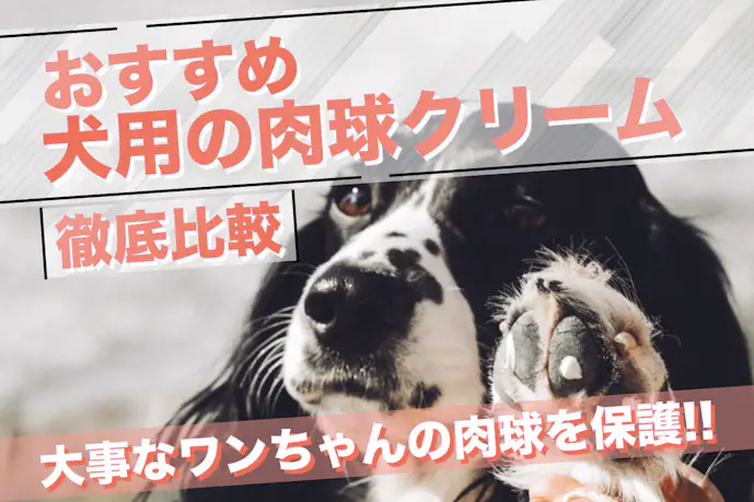 【2024年】犬向け肉球クリームのおすすめ12選｜肉球を保護できる人気ペット商品を大公開