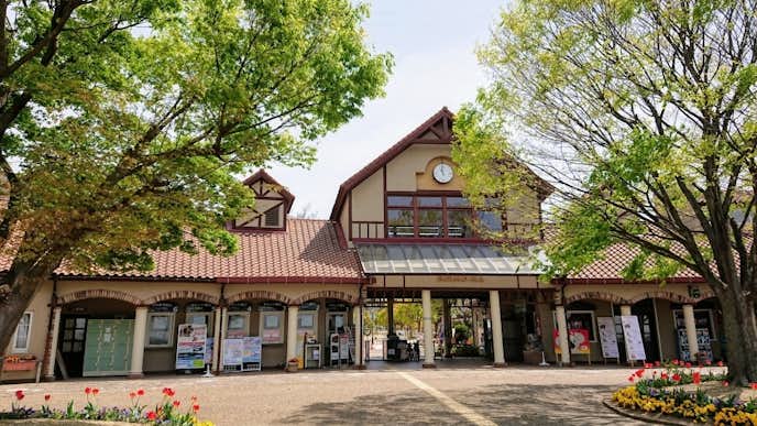 兵庫県のおすすめ観光スポットは淡路ファームパーク イングランドの丘
