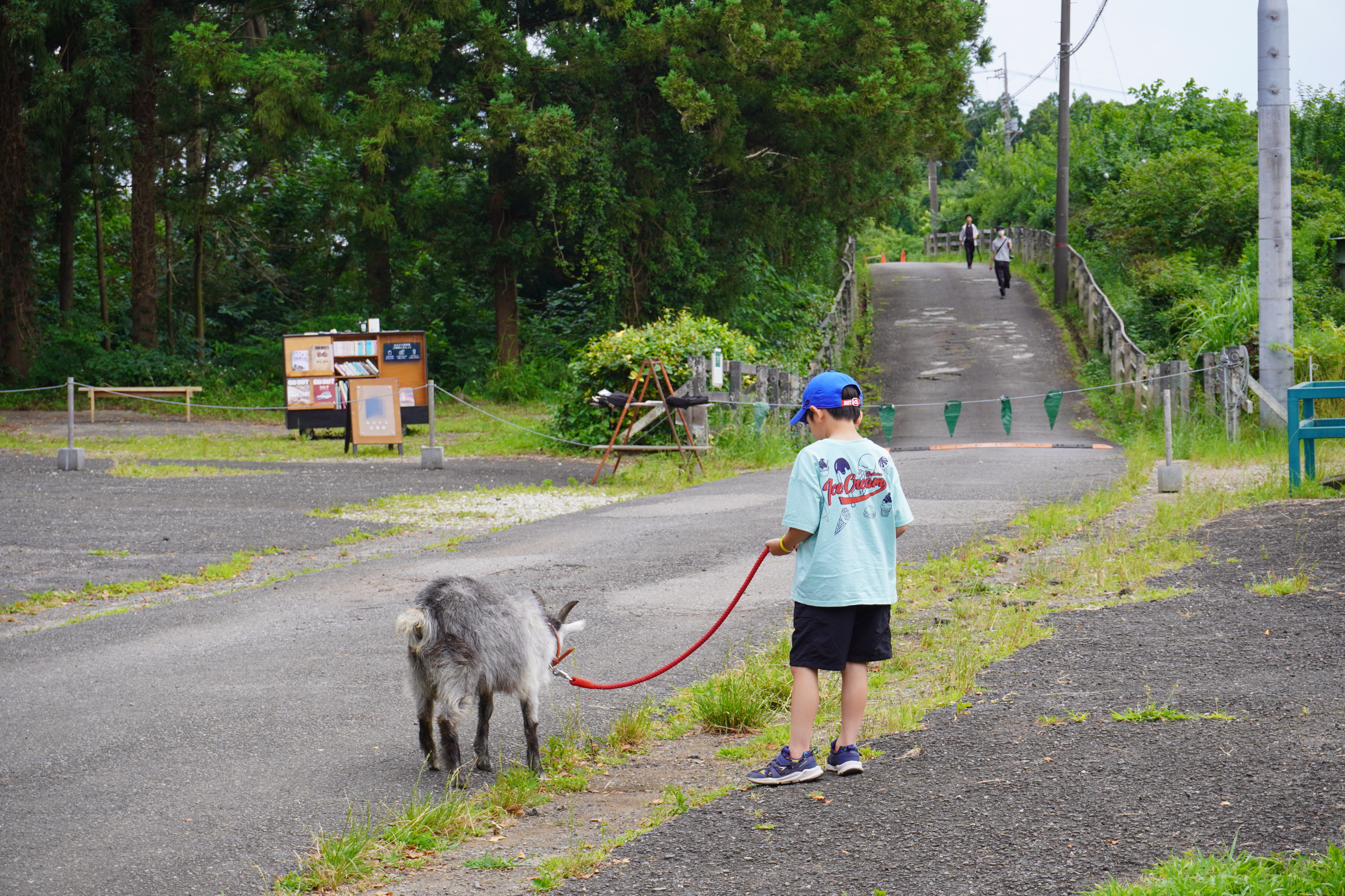 千葉県のおすすめお出かけスポットは千葉ウシノヒロバ