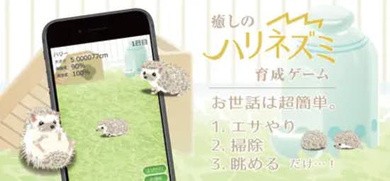癒しのハリネズミ育成ゲーム.jpg