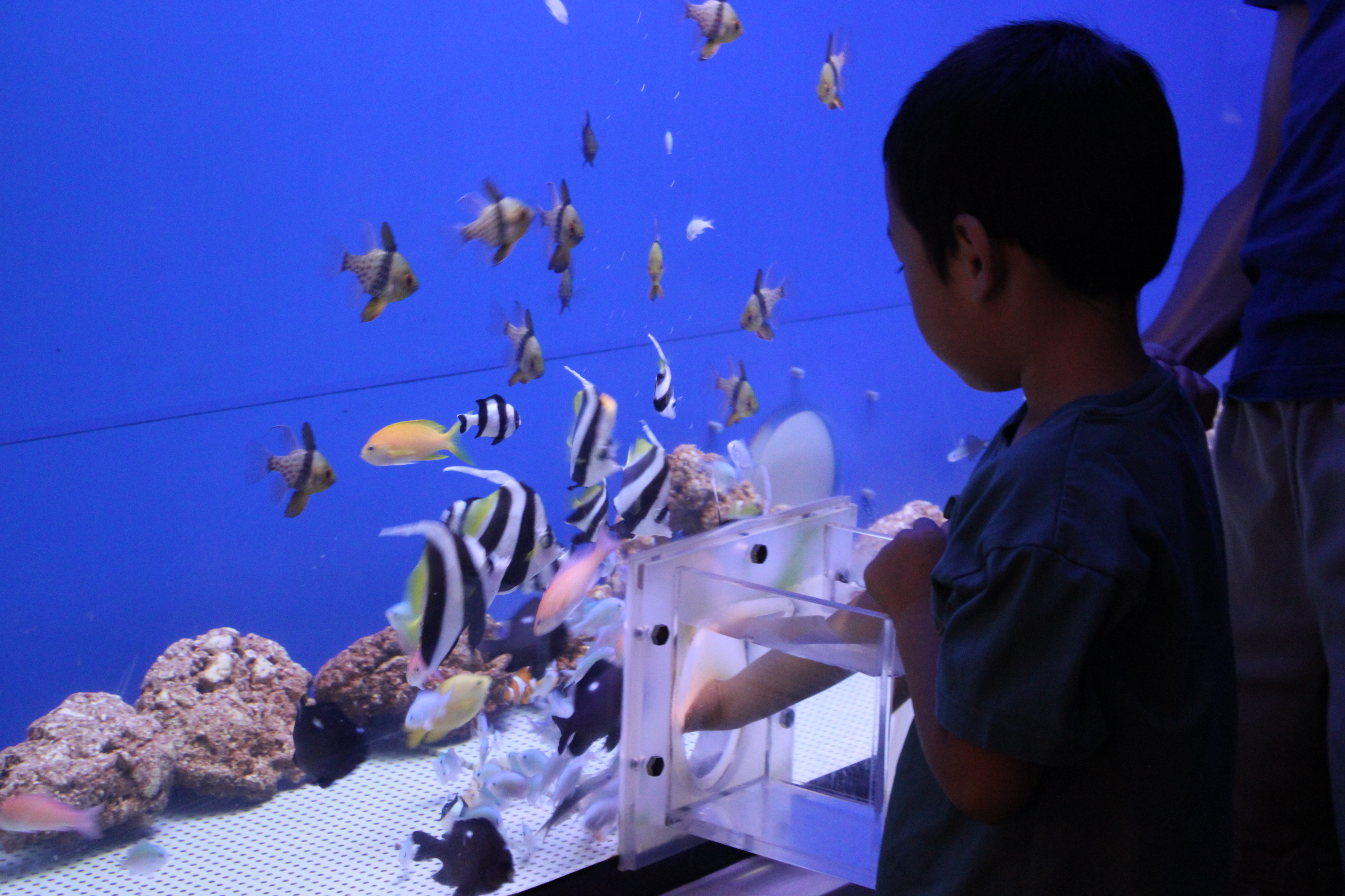 静岡県のおすすめ観光スポットは浜名湖体験学習施設 ウォット