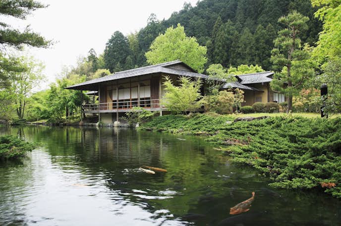 静岡県のおすすめ観光スポットは玉露の里