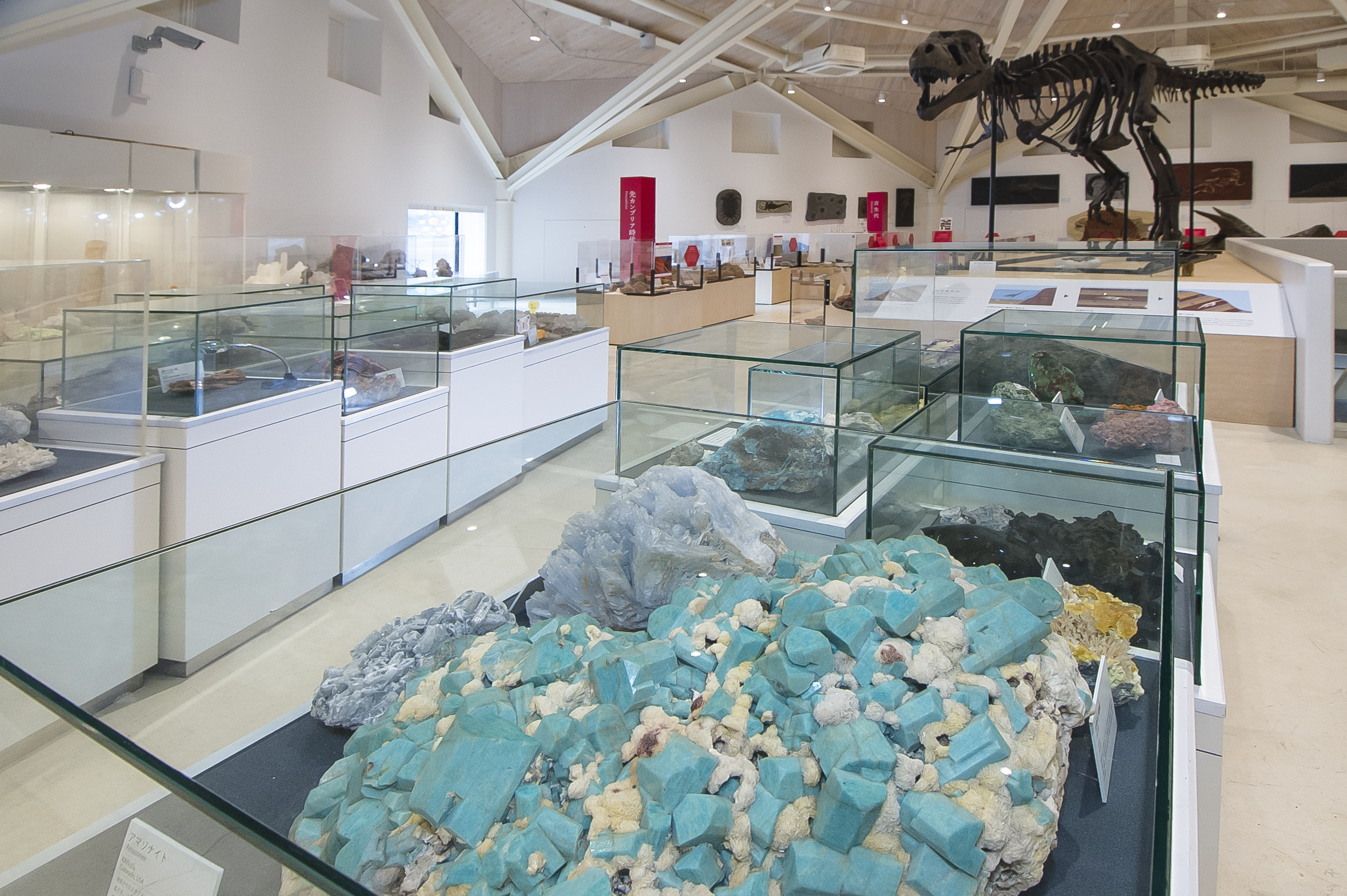 兵庫県のおすすめ観光スポットは玄武洞ミュージアム