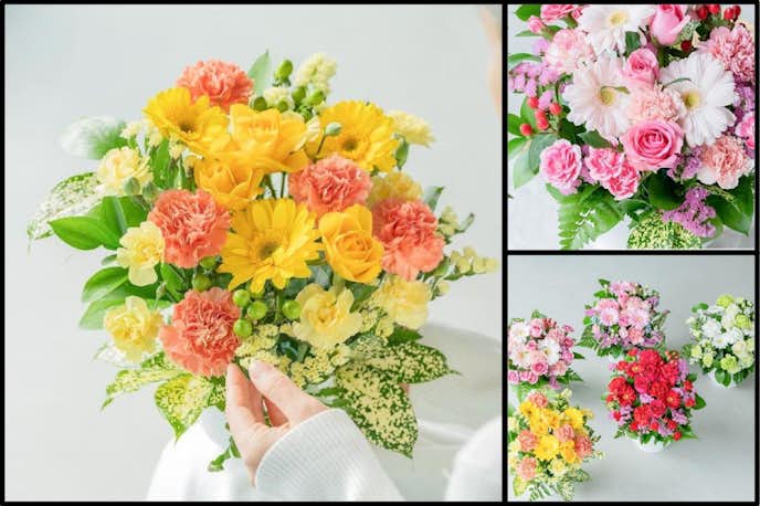 女性の還暦祝いにおすすめのお花