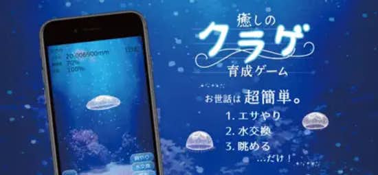 癒しのクラゲ育成ゲーム.jpg