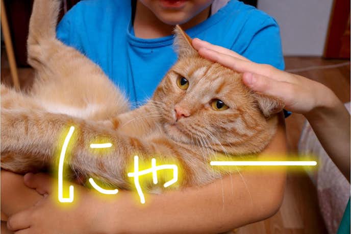 BeautyPlusで文字を入れる方法