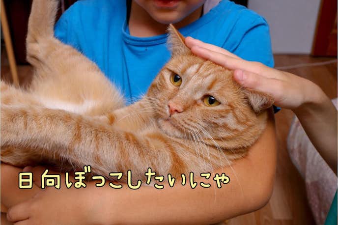 BeautyPlusで文字を入れる方法