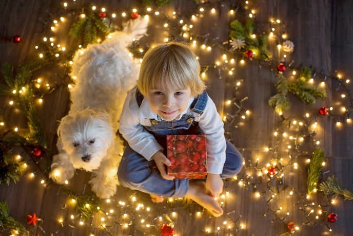 子供にクリスマスプレゼントを渡すのは何歳まで?