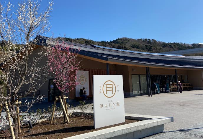 静岡県のおすすめ観光スポットは道の駅伊豆月ケ瀬