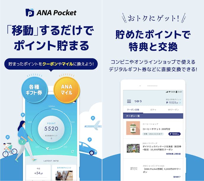 ANA Pocket