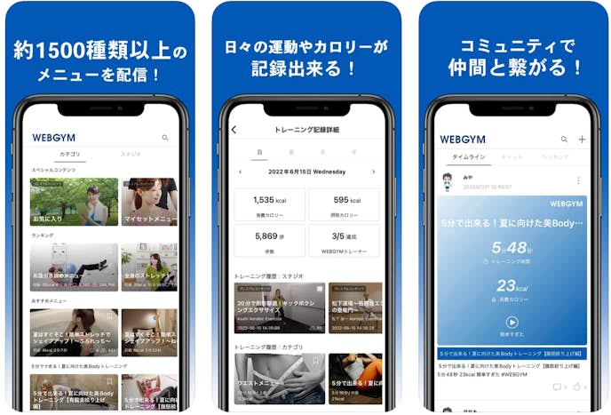 WEBGYMのプレイ画面