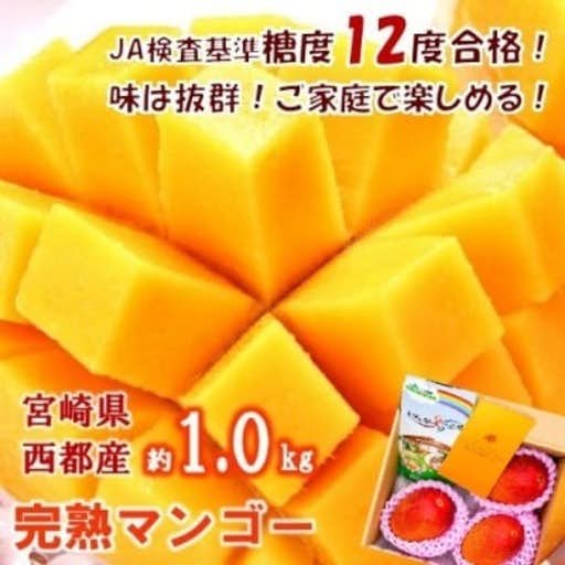 宮崎県西都市のおすすめふるさと納税は【3～4玉】約1kg糖度12度以上(JA西都)ご家庭用完熟マンゴー西都産