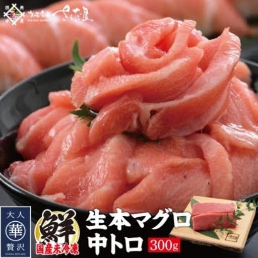 おすすめの福井県越前町のふるさと納税に「生まぐろ」中トロ 300g(2~3柵)