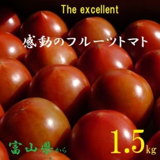 おすすめの富山県小矢部市のふるさと納税に フルーツトマト(深層水トマト)1.5キロ