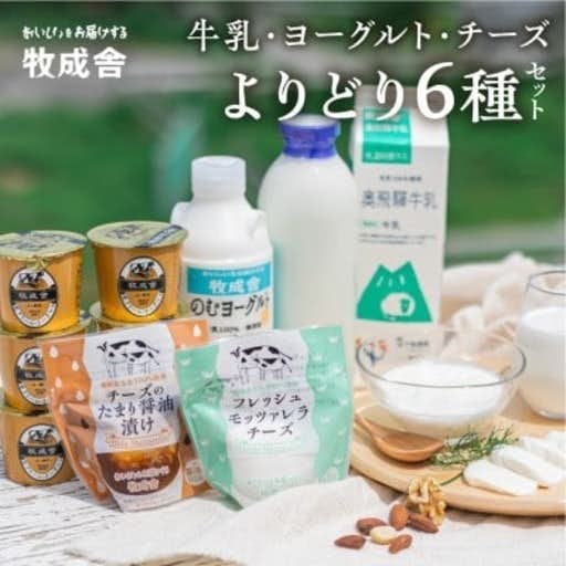 おすすめの岐阜県飛騨市のふるさと納税に飛騨の牛乳屋・牧成舎のよりどり牛乳&ヨーグルト&チーズセット