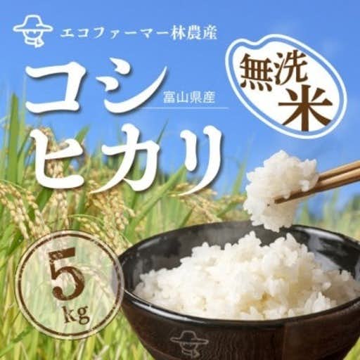 おすすめの富山県黒部市のふるさと納税に令和5年産コシヒカリ一等米5kg 無洗米