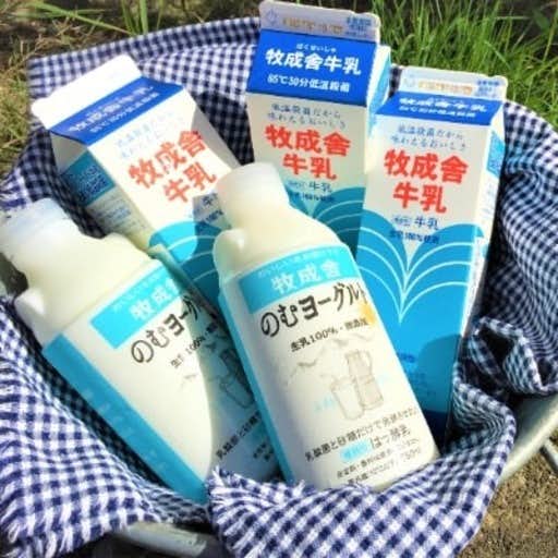 おすすめの岐阜県高山市のふるさと納税に牧成舎・飛騨の牛乳屋こだわり無添加【牛乳3本&飲むヨーグルト2本】