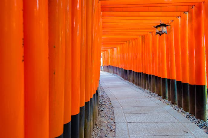 京都のおすすめお出かけスポットは伏見稲荷大社