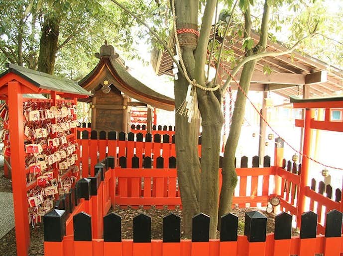 京都のおすすめ観光京都スポットは下鴨神社