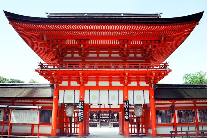 京都のおすすめお出かけスポットは下鴨神社
