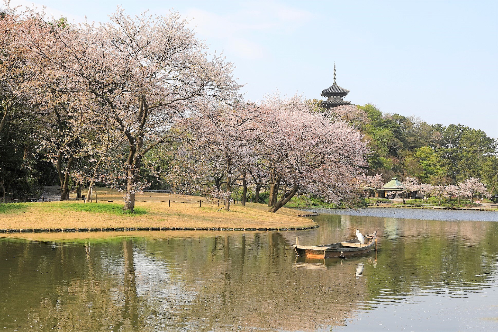 神奈川の人気デートスポットは横浜 三溪園