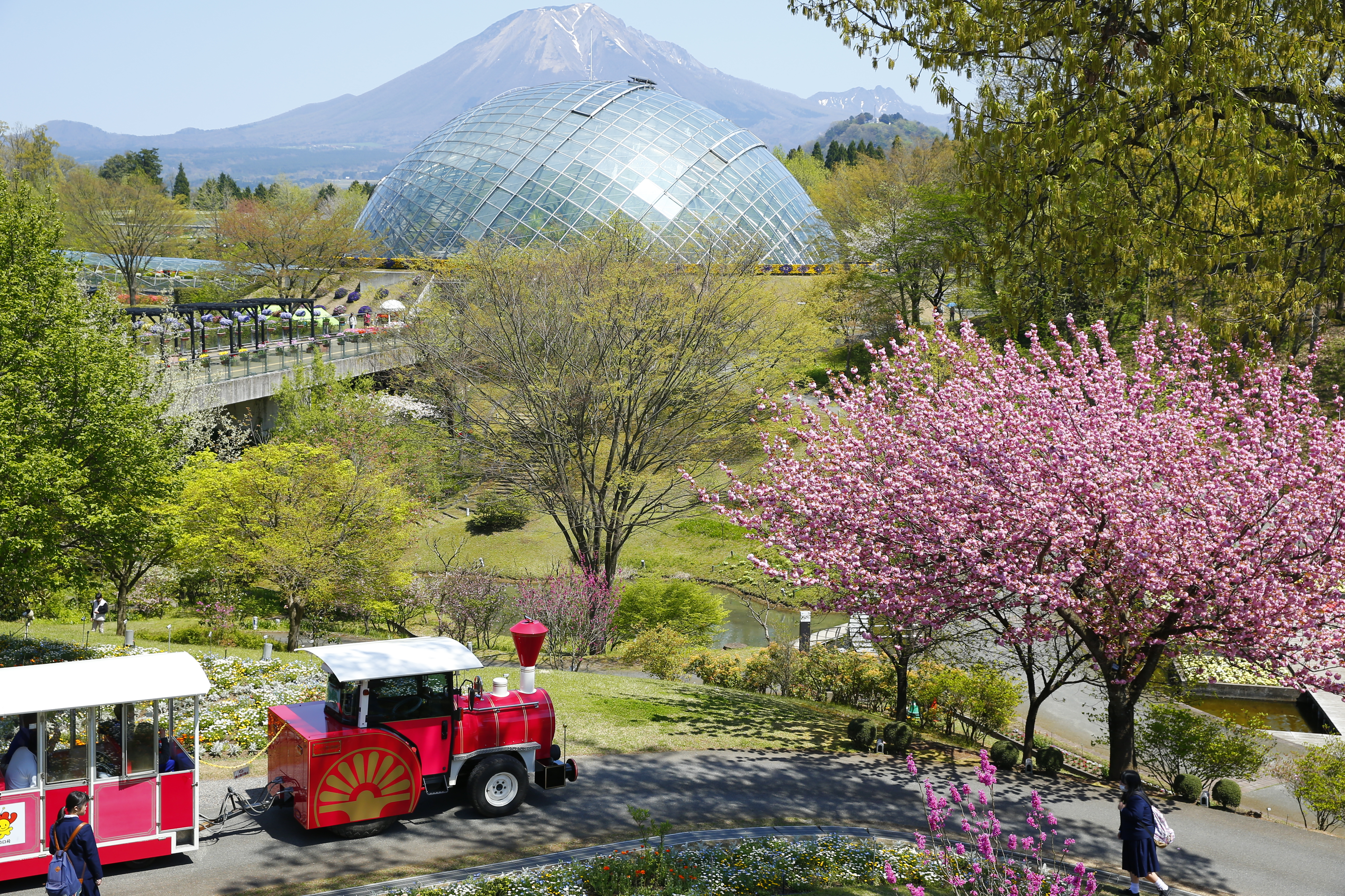鳥取のおすすめ観光スポットはとっとり花回廊