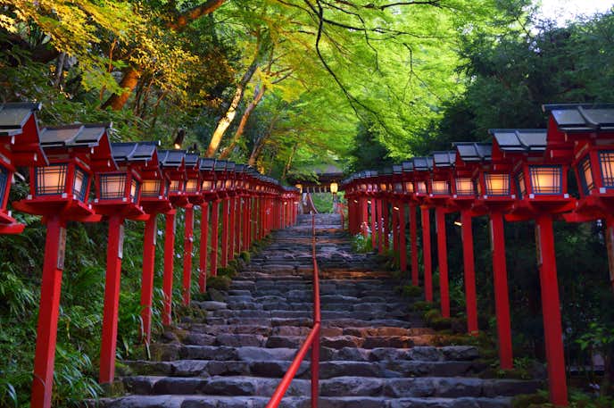 京都のおすすめお出かけスポットは貴船神社
